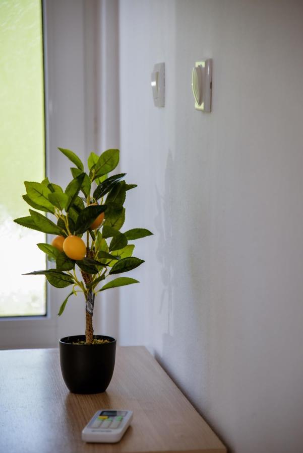 Apartment Nikola コトル エクステリア 写真